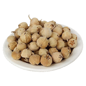 Natural Paneer DODI Paneer Ke Phool Withania Coagulan  Indian Rennet 250 Gram